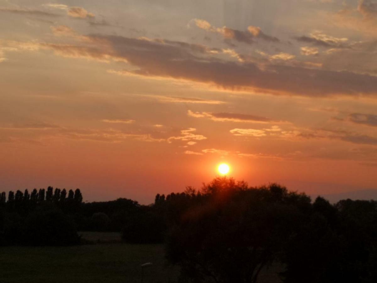 Sunset View Treviso Apartment Exteriör bild